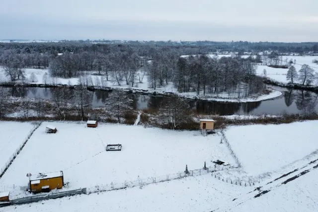 Cud nad Pisą