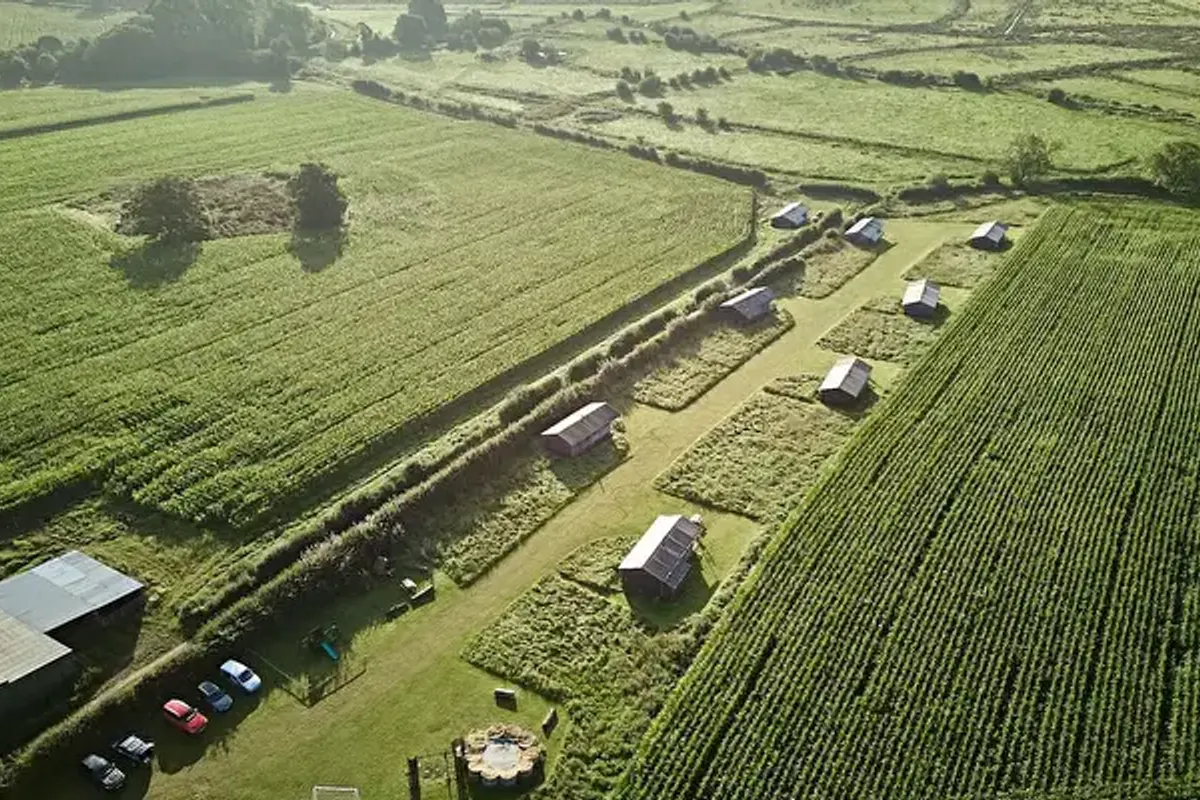 College Farm - Feather Down